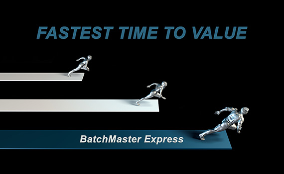 BatchMaster ERP Fast Track Delivery