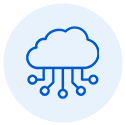 Cloud-delivered icon