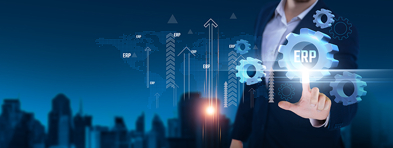 Step-by-Step Guide to the ERP System Lifecycle