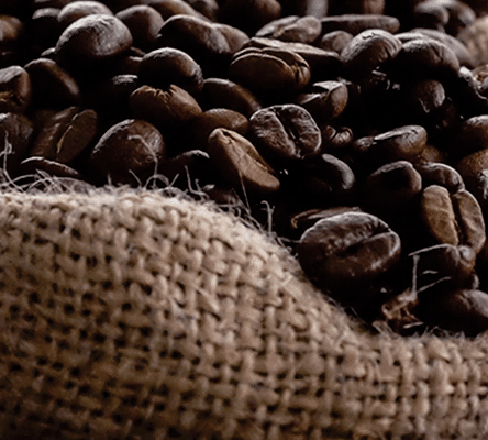 See how Tea Aroma scaled production with BatchMaster ERP