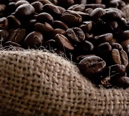 See how Tea Aroma scaled production with BatchMaster ERP